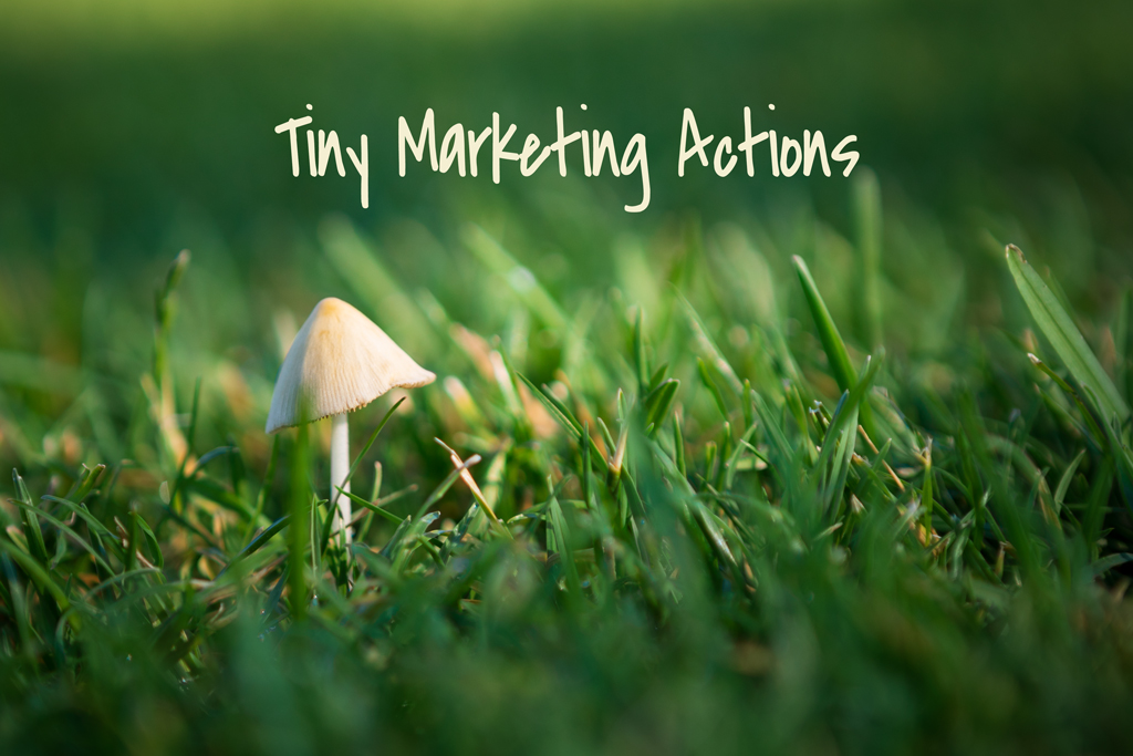 Tiny Marketing Actions, Pamela Slim, Marketing Tips, Small Business, SCORE