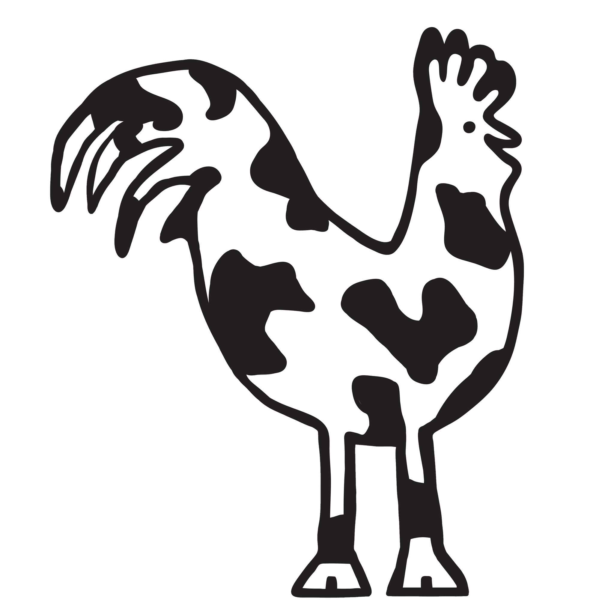 Cow and Rooster Web Design