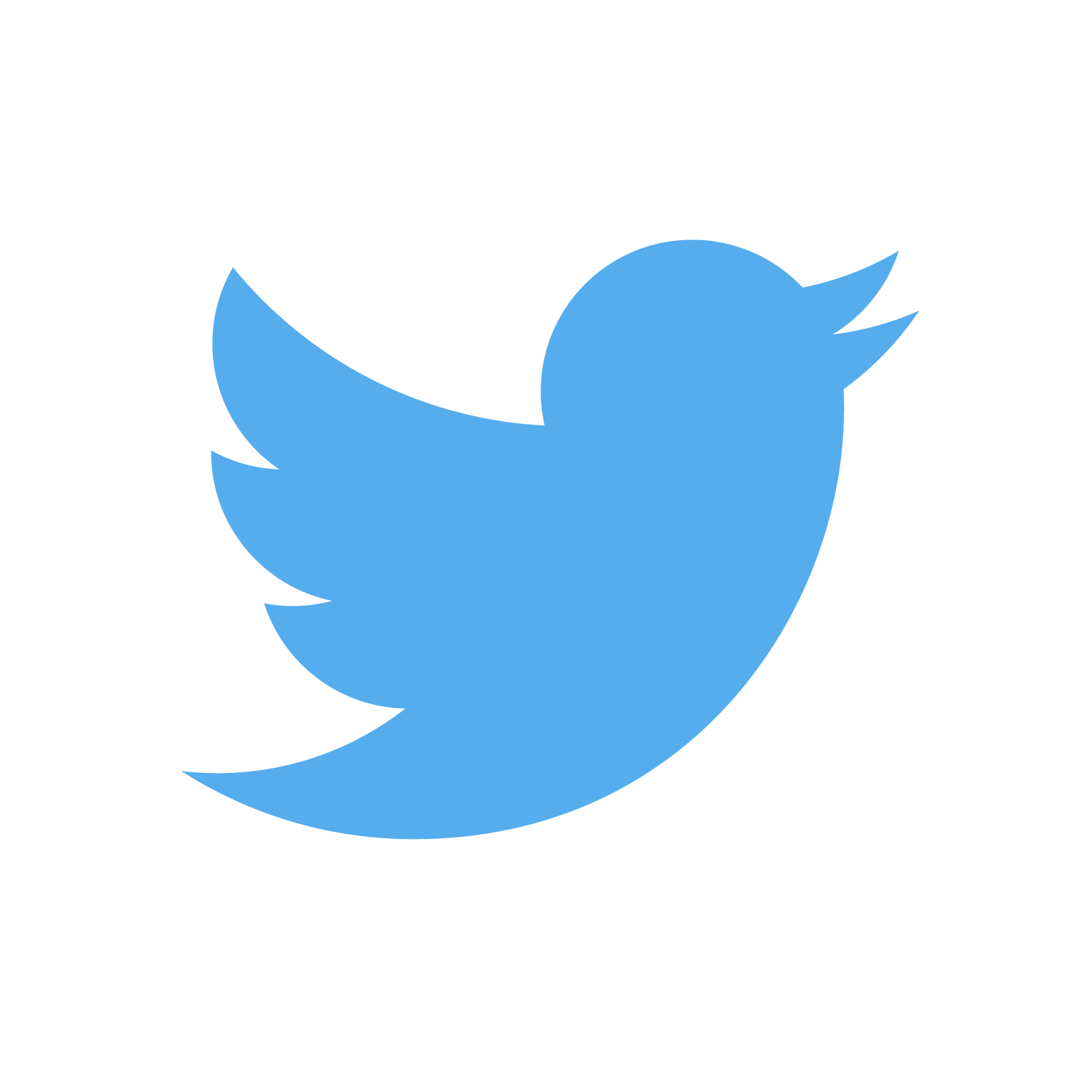 Twitter Logo, Twitter 2020 Terms of Service